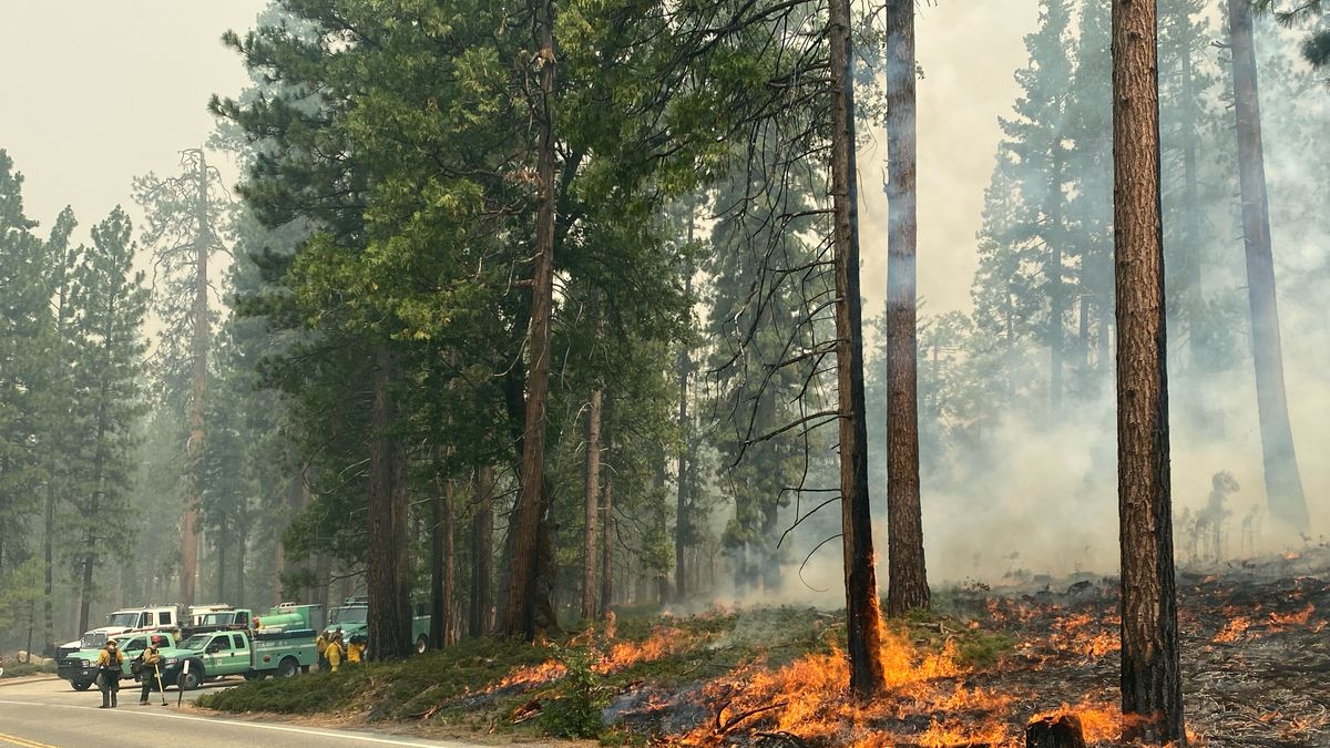 california:-combaten-fuego-que-amenaza-secuoyas-de-yosemite
