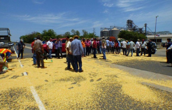 productores-de-maiz-protestaran-por-falta-de-comercializacion