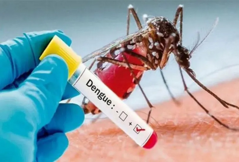 tres-nuevas-muertes-por-dengue,-incluidos-2-menores-de-colon
